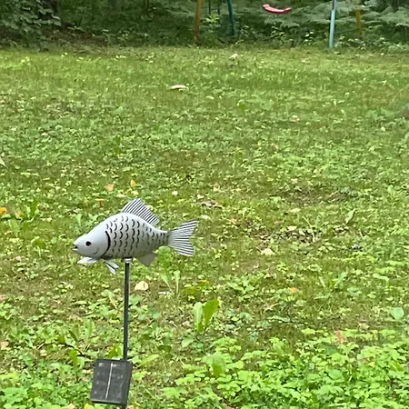 Paunkuela Puhkemaja Kiruvere