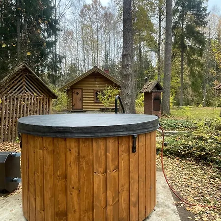 Paunküla Puhkemaja * Kiruvere