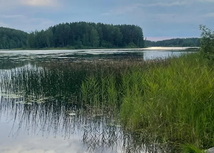 Paunkuela Puhkemaja Villa Kiruvere