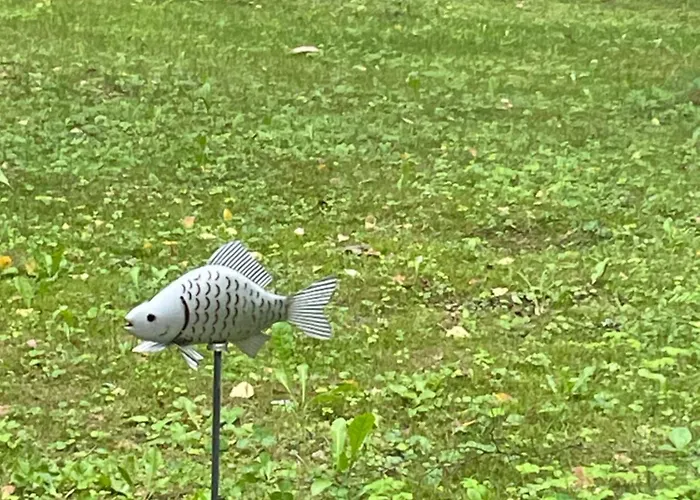 Paunkuela Puhkemaja Kiruvere